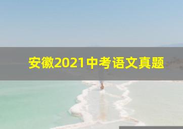 安徽2021中考语文真题