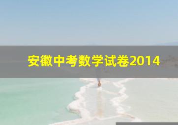 安徽中考数学试卷2014