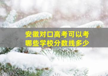 安徽对口高考可以考哪些学校分数线多少