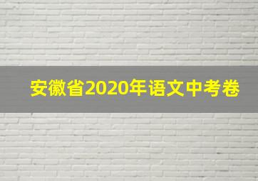 安徽省2020年语文中考卷