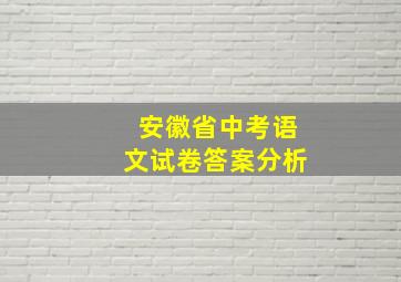 安徽省中考语文试卷答案分析