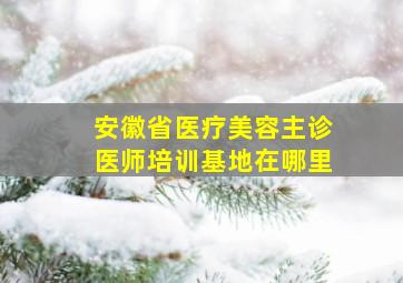 安徽省医疗美容主诊医师培训基地在哪里