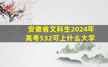 安徽省文科生2024年高考532可上什么大学