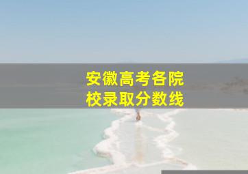 安徽高考各院校录取分数线