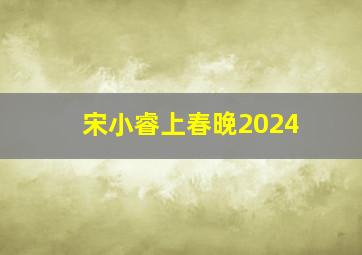 宋小睿上春晚2024