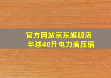 官方网站京东旗舰店半球40升电力高压锅