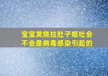 宝宝发烧拉肚子呕吐会不会是病毒感染引起的