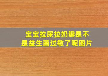 宝宝拉屎拉奶瓣是不是益生菌过敏了呢图片