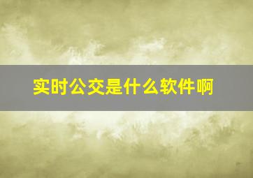 实时公交是什么软件啊