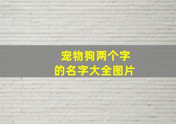 宠物狗两个字的名字大全图片