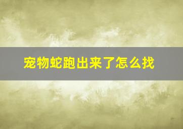 宠物蛇跑出来了怎么找