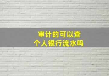 审计的可以查个人银行流水吗