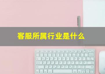 客服所属行业是什么