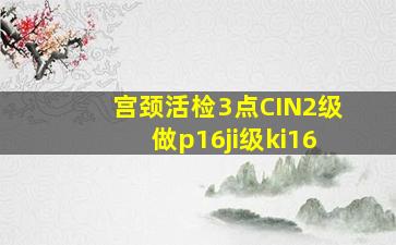 宫颈活检3点CIN2级做p16ji级ki16