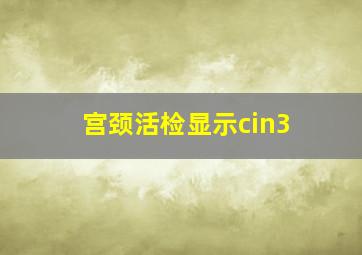 宫颈活检显示cin3