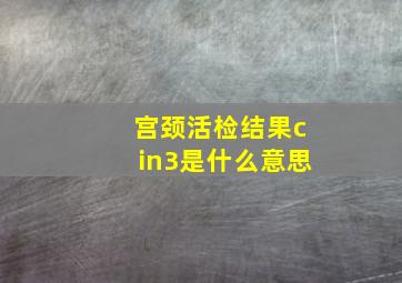 宫颈活检结果cin3是什么意思