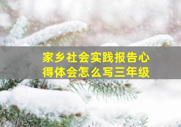 家乡社会实践报告心得体会怎么写三年级