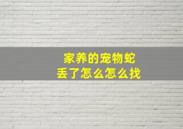 家养的宠物蛇丢了怎么怎么找