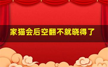 家猫会后空翻不就晓得了