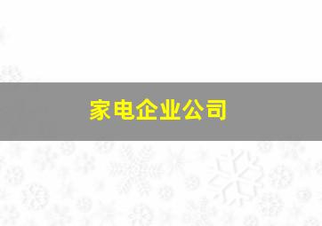 家电企业公司