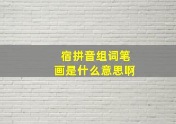 宿拼音组词笔画是什么意思啊