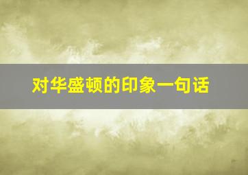 对华盛顿的印象一句话