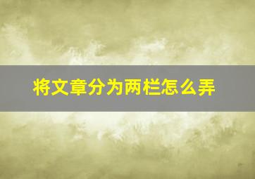 将文章分为两栏怎么弄