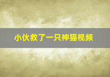 小伙救了一只神猫视频