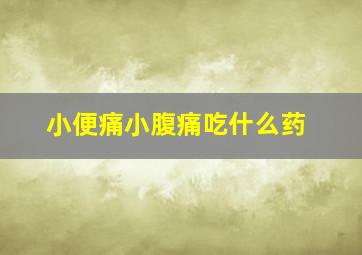 小便痛小腹痛吃什么药