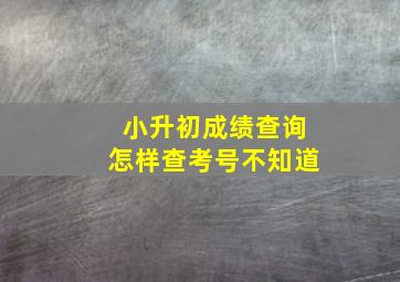 小升初成绩查询怎样查考号不知道