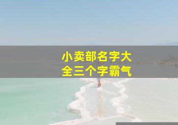 小卖部名字大全三个字霸气