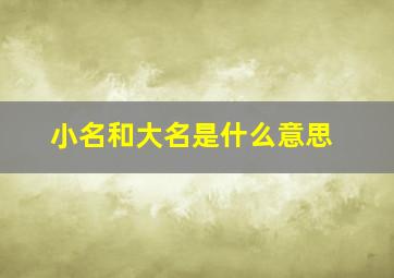 小名和大名是什么意思