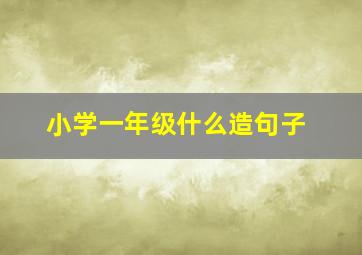 小学一年级什么造句子