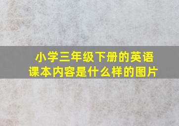 小学三年级下册的英语课本内容是什么样的图片