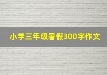 小学三年级暑假300字作文