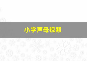 小学声母视频