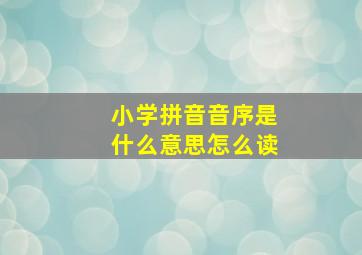 小学拼音音序是什么意思怎么读