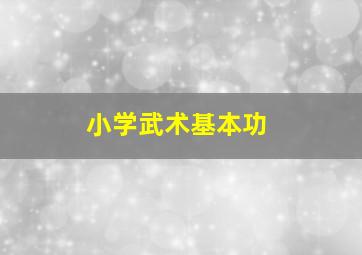 小学武术基本功