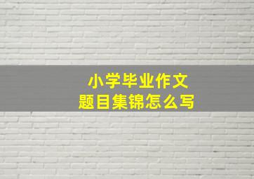 小学毕业作文题目集锦怎么写