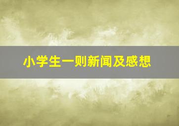 小学生一则新闻及感想