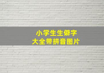 小学生生僻字大全带拼音图片