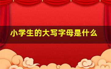 小学生的大写字母是什么