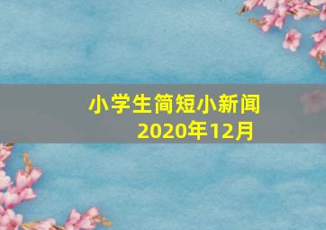 小学生简短小新闻2020年12月