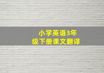 小学英语3年级下册课文翻译