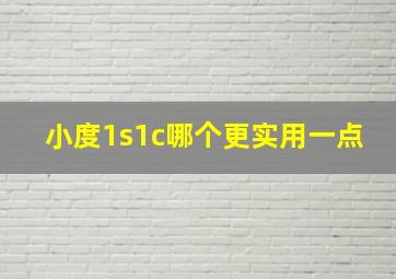 小度1s1c哪个更实用一点