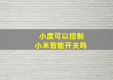 小度可以控制小米智能开关吗