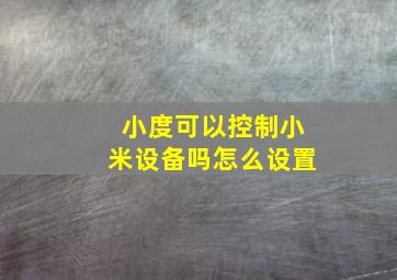 小度可以控制小米设备吗怎么设置