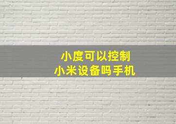 小度可以控制小米设备吗手机