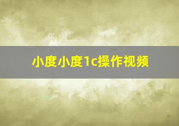 小度小度1c操作视频