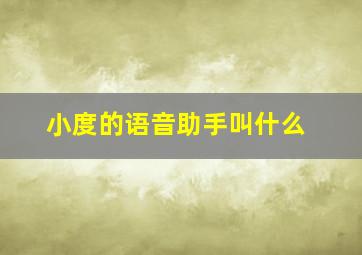 小度的语音助手叫什么